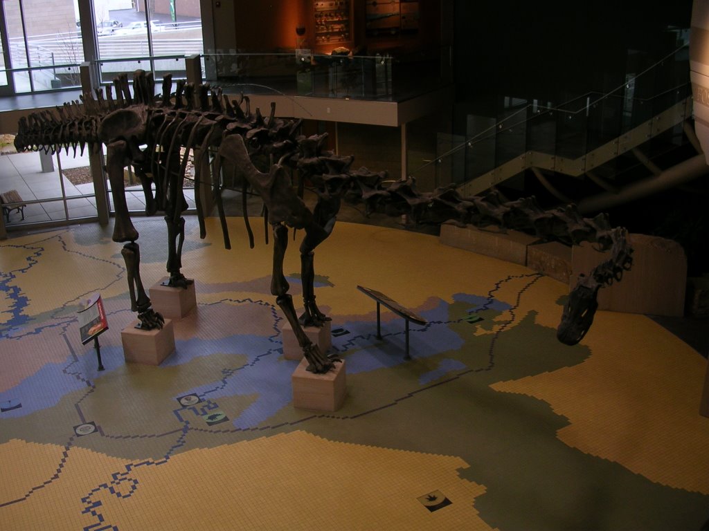 Utah Field House of Natural History State Park Museum