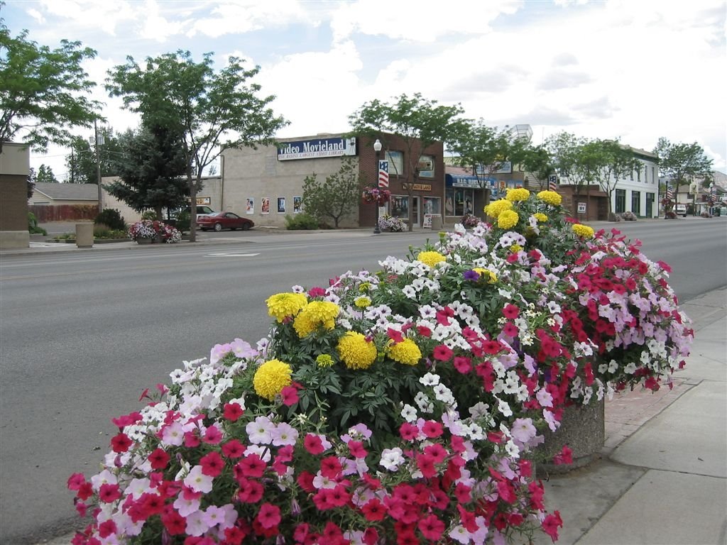 Vernal flowers on Main Street 08 2004