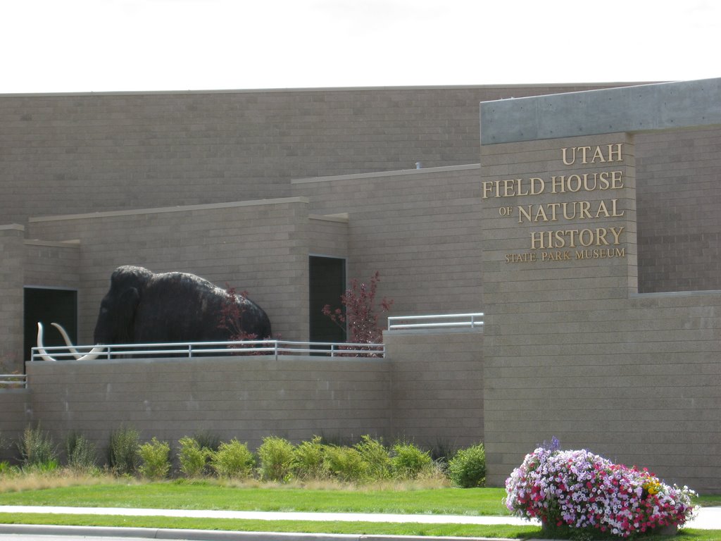 Vernal Dinosaur Museum from Main street