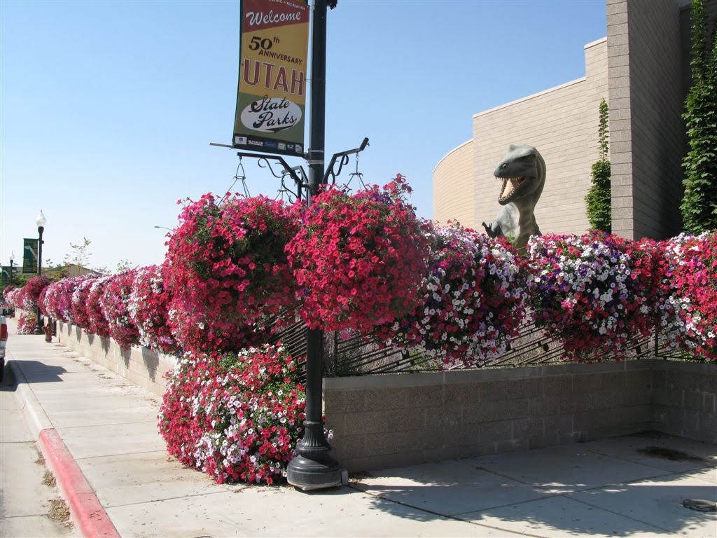 Dinosaur Museum in Vernal