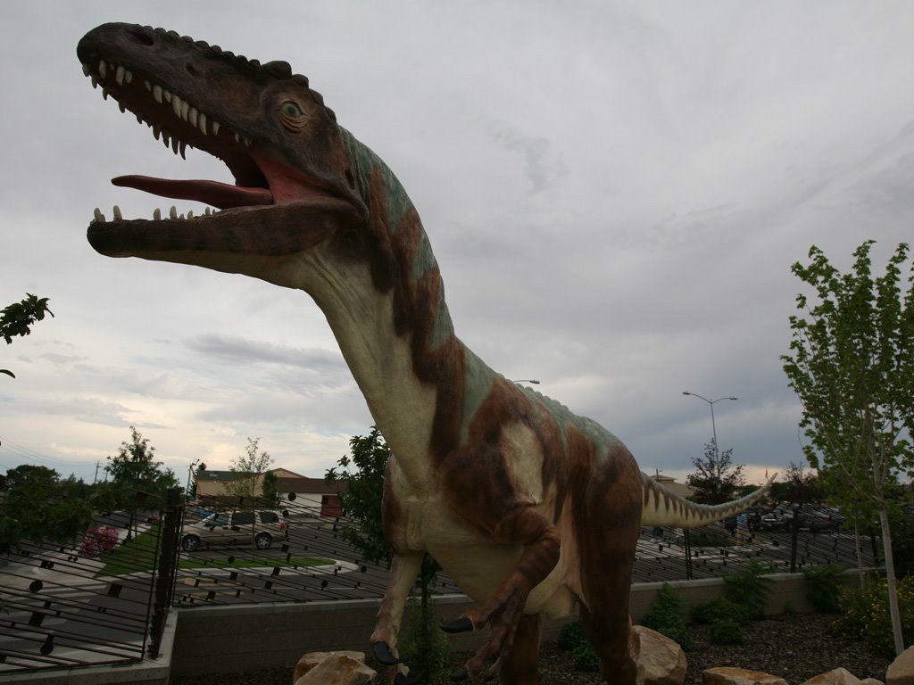 Allosaurus