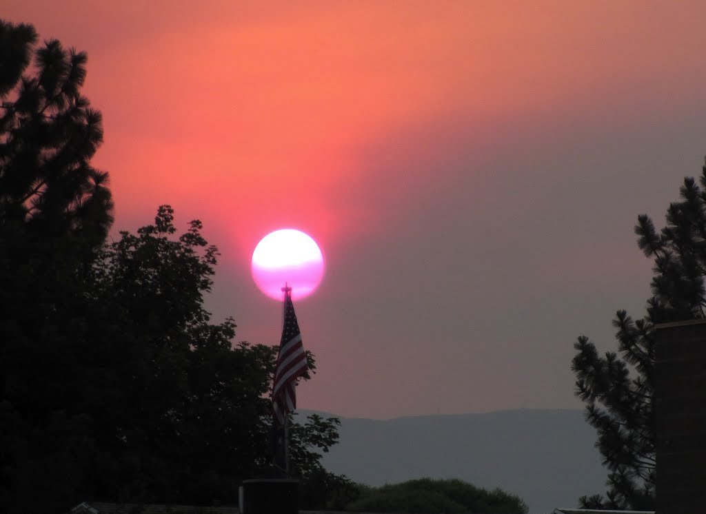 America Burning