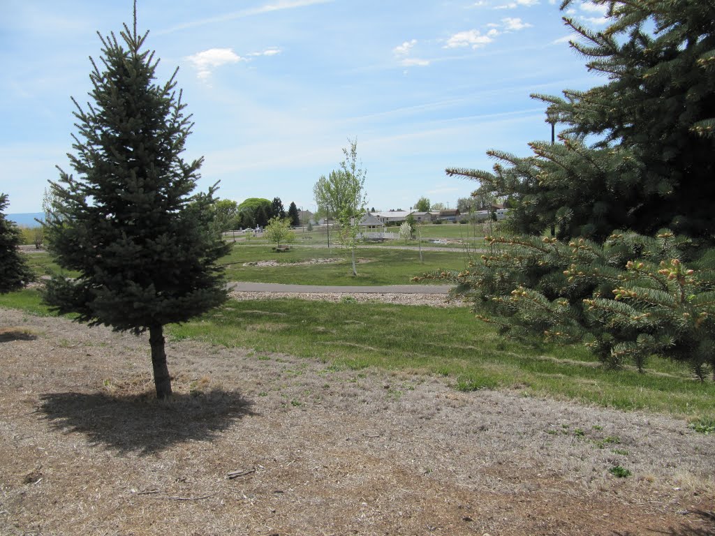 Freestone Legacy Walking Park_2