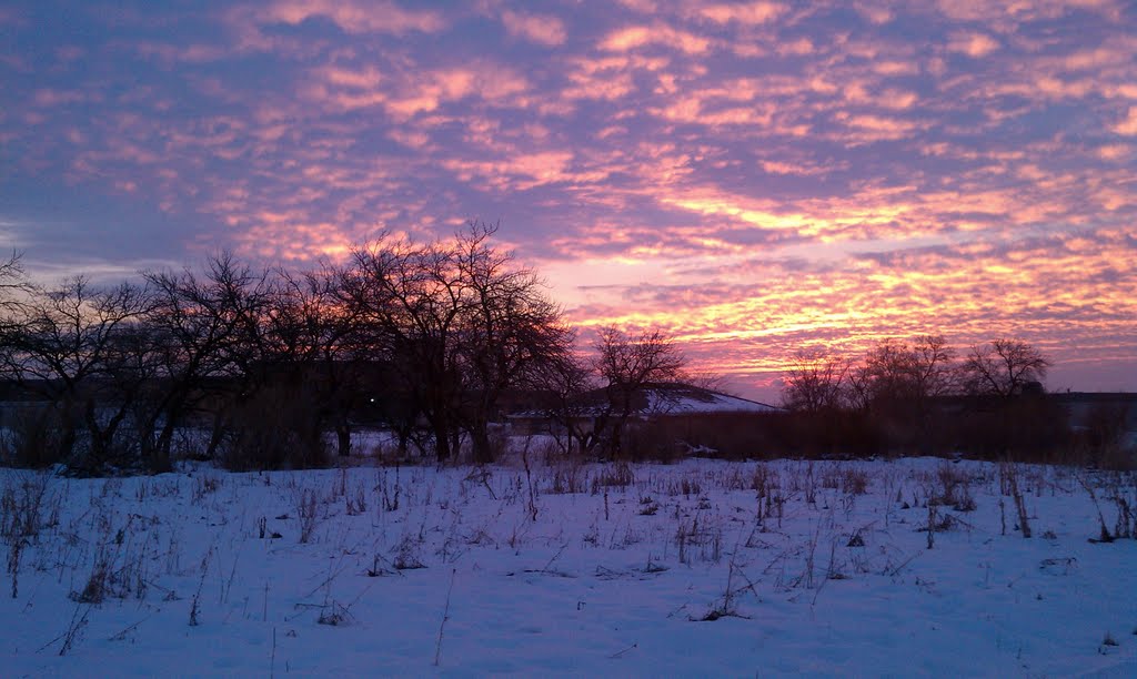 Winter sunset