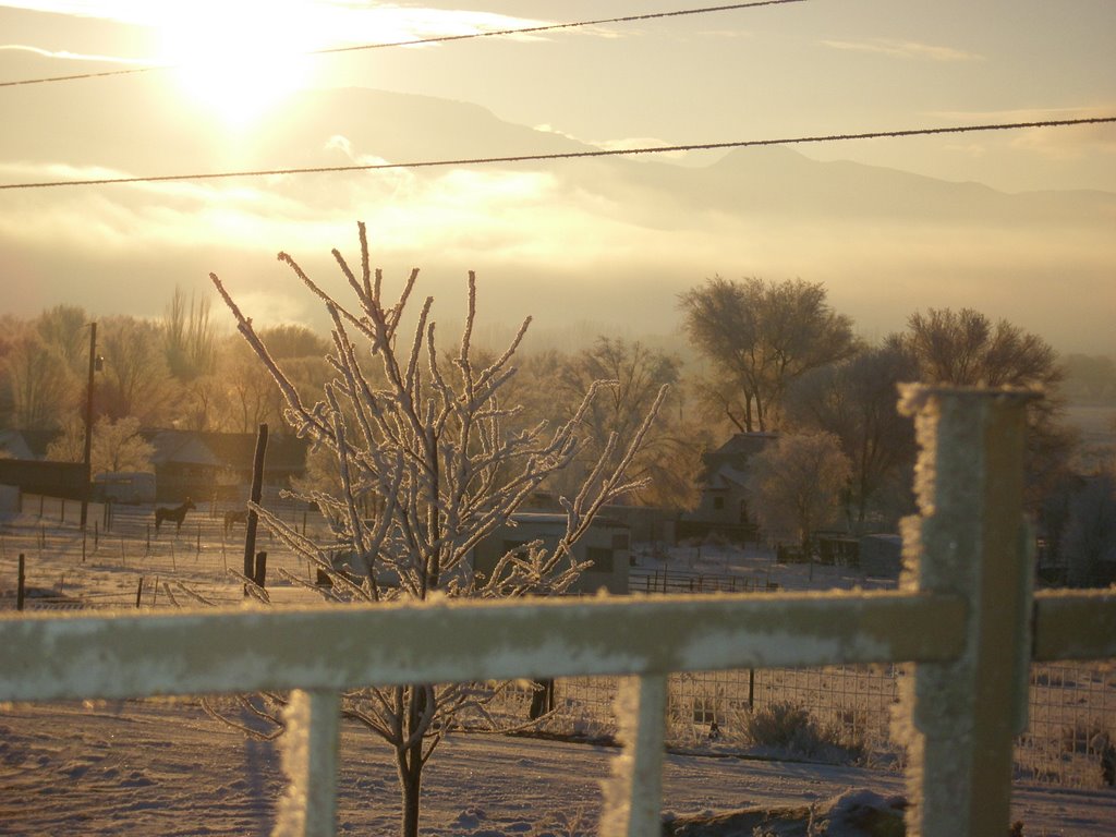 Cold winter morning