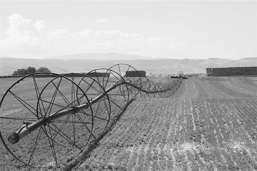 Farm field