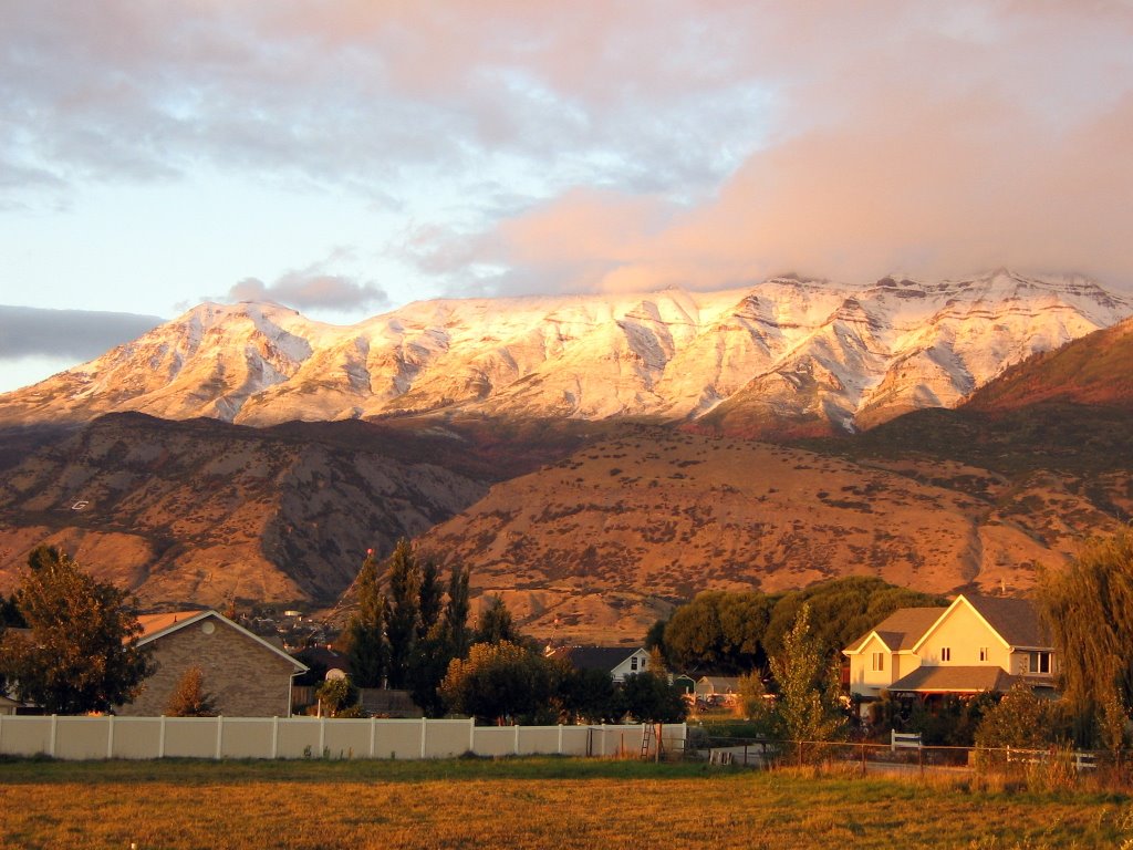 Timp