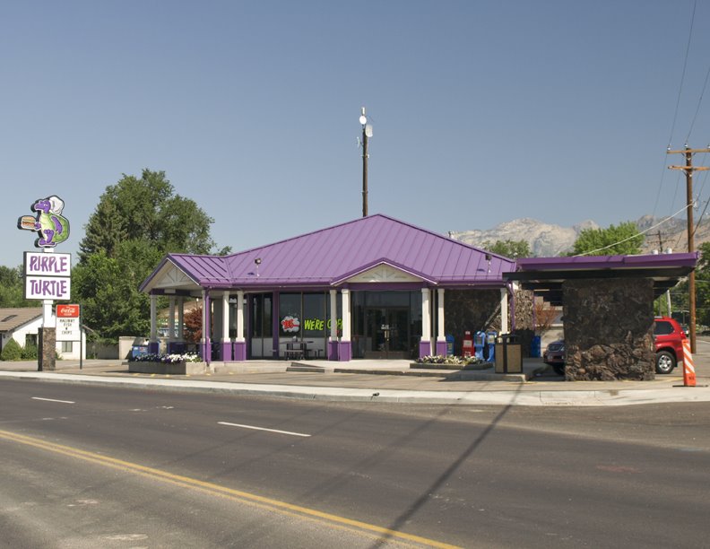 Pleasant Grove Purple Turtle