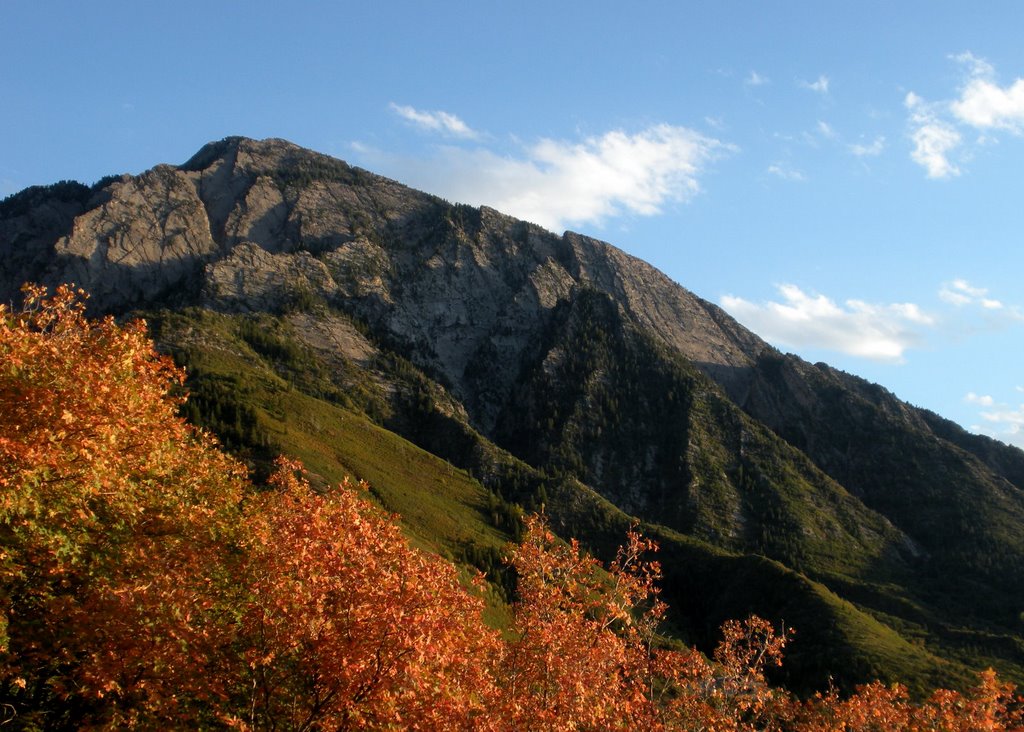 Mount Olympus from Neffs Canyon Ridge. Wasatch Mountains, Utah.