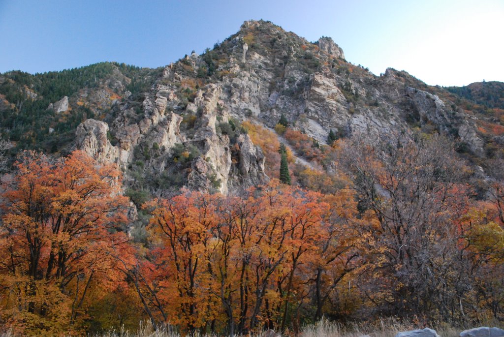 Fall in Mill Creek Canyon.