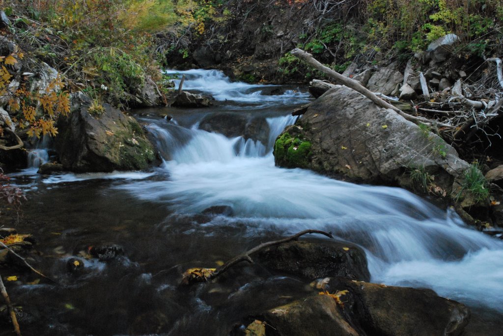 Mill Creek.