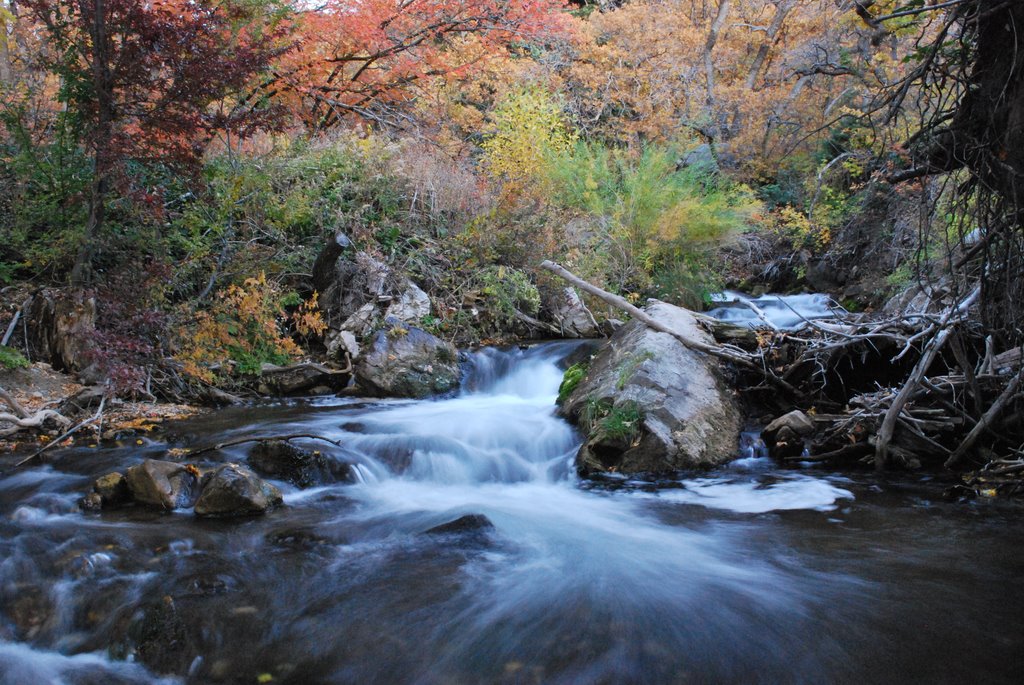 Mill Creek color.