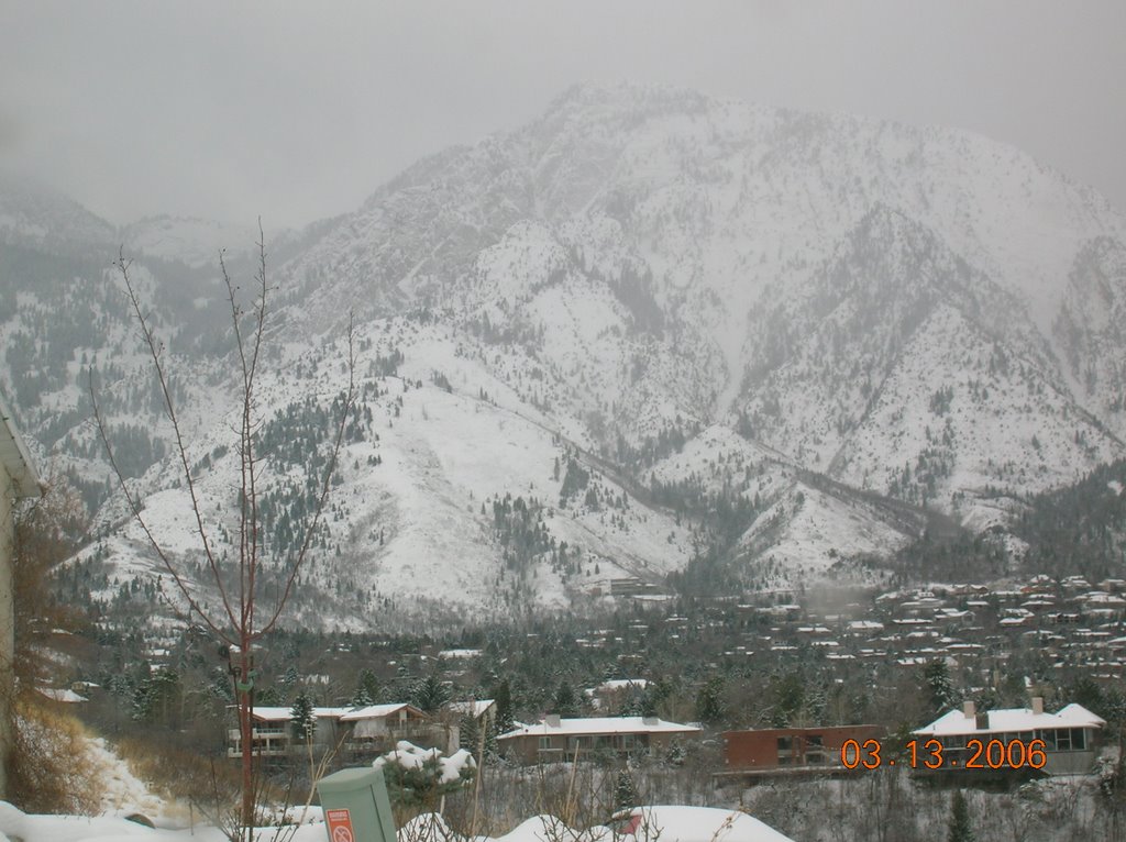 Mt. Olympus under snow