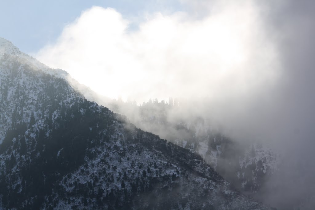 Wasatch Mountains East of Salt Lake City, Utah