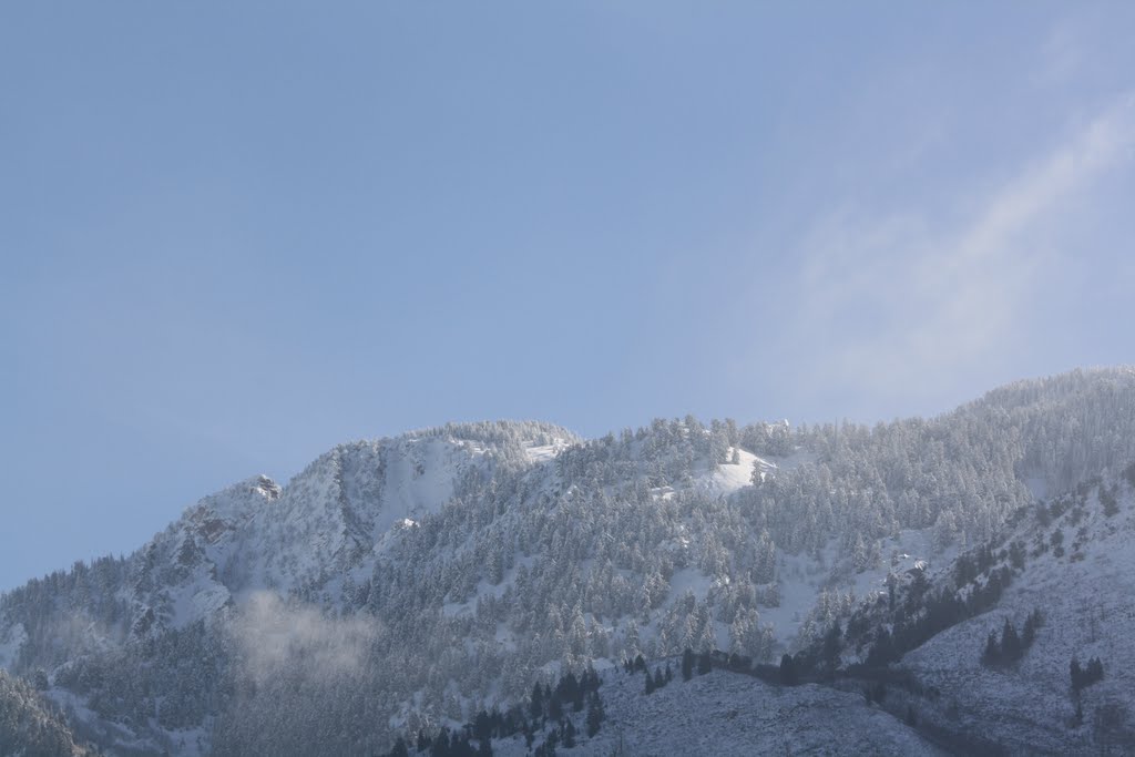 Wasatch Mountains East of Salt Lake City, Utah
