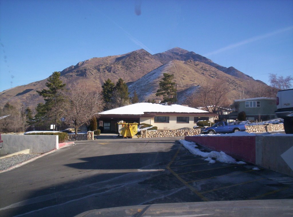 Wasatch
