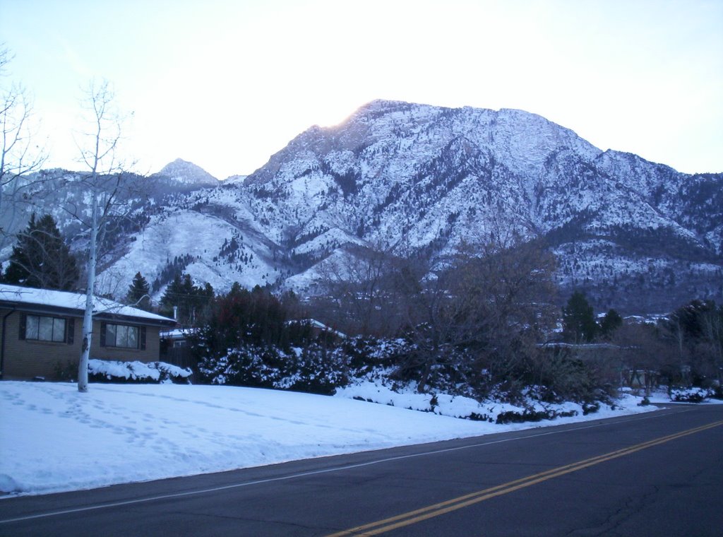 Wasatch