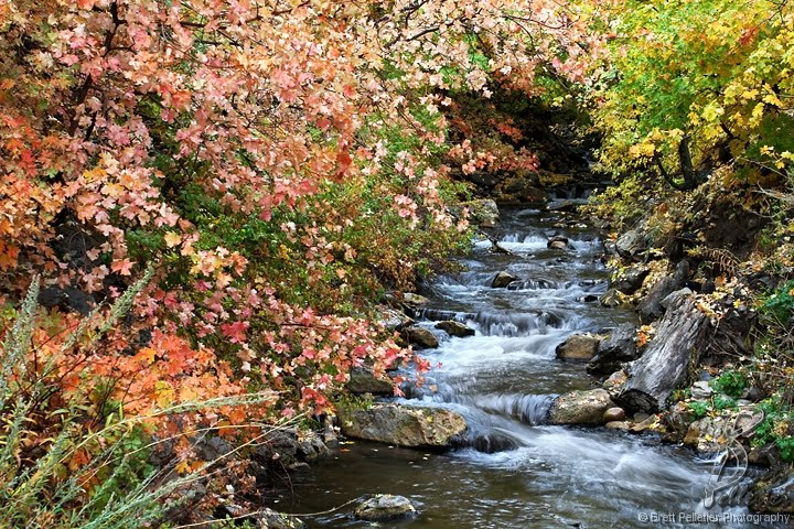 Millcreek in Fall