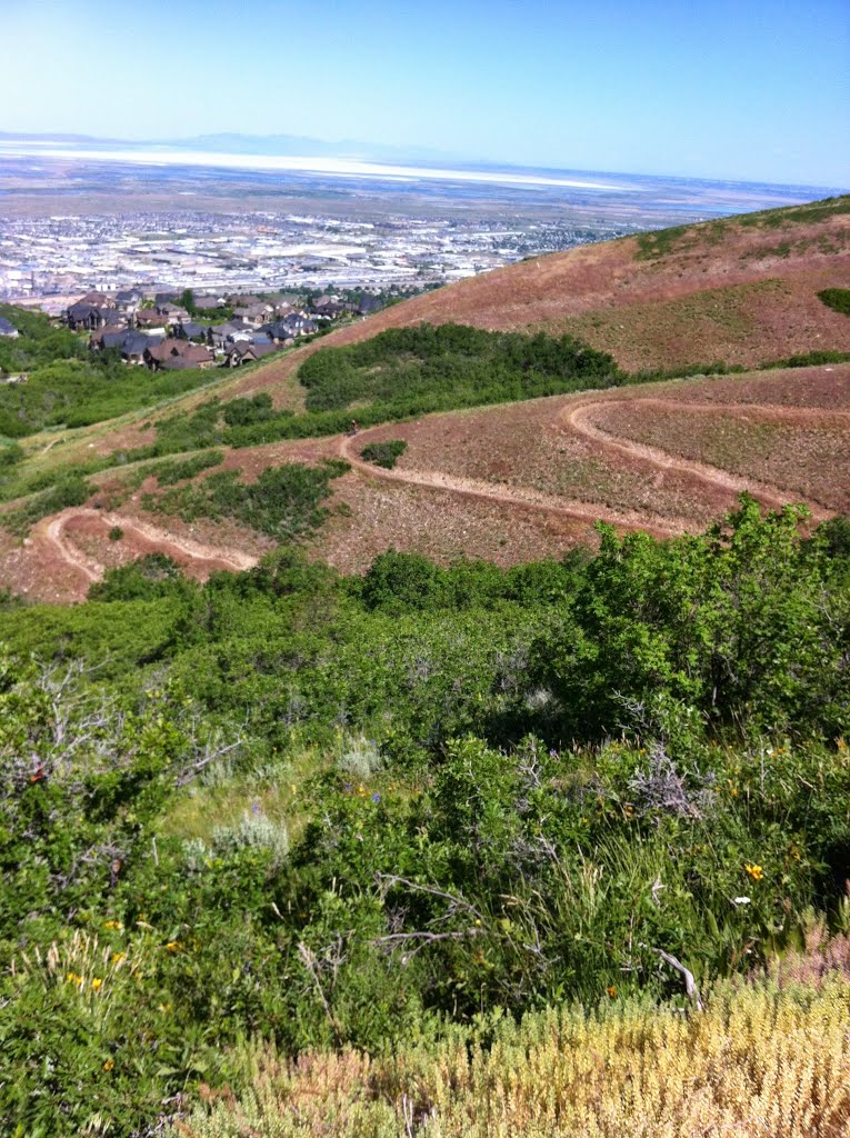 Wild Rose Trail in North Salt Lake