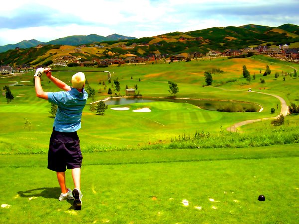 Eaglewood #8
