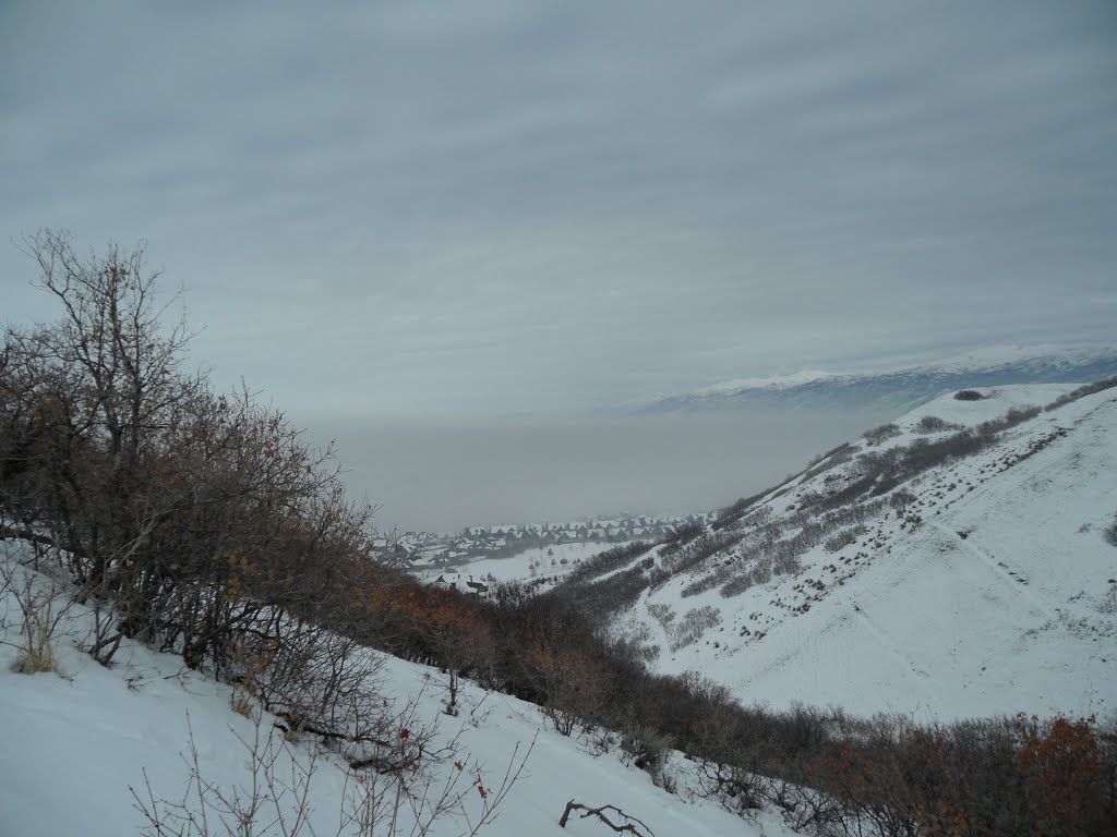 Inversion from wild rose trail