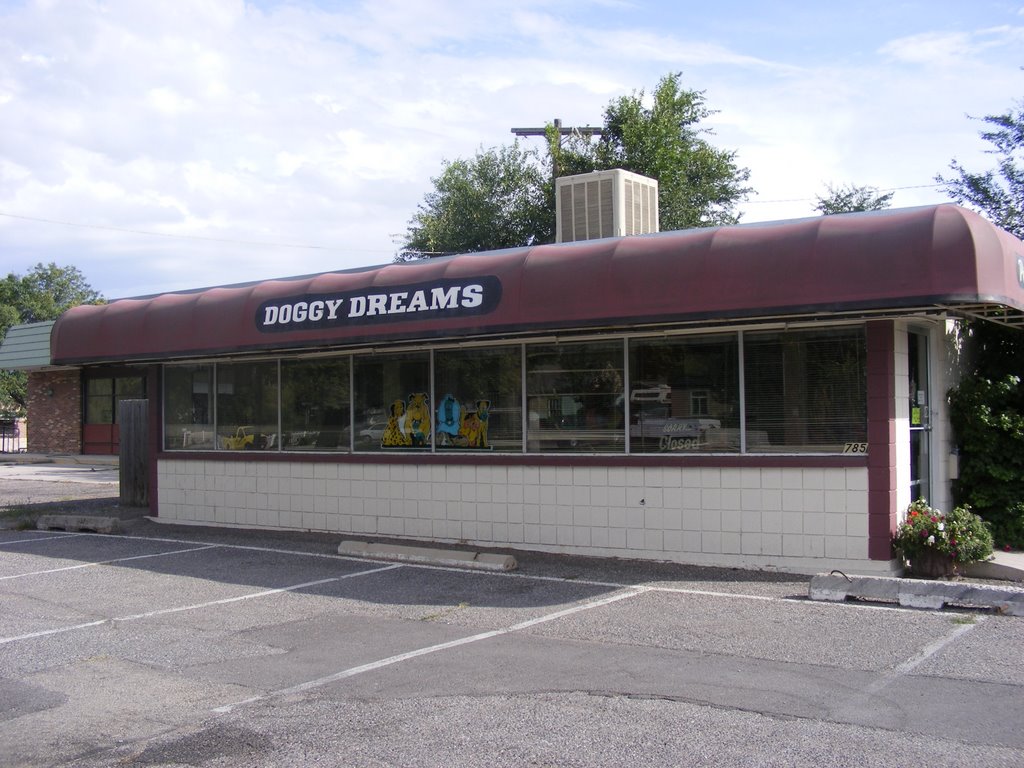 "Must be some kind of hot dog store."