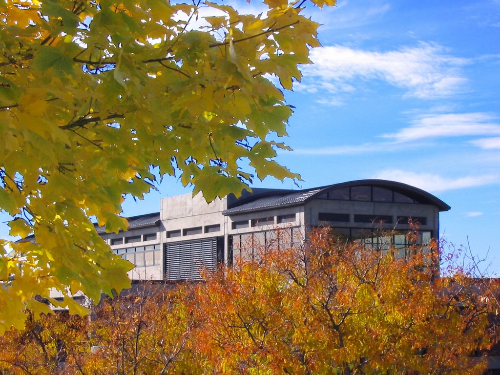 Computer Science Building