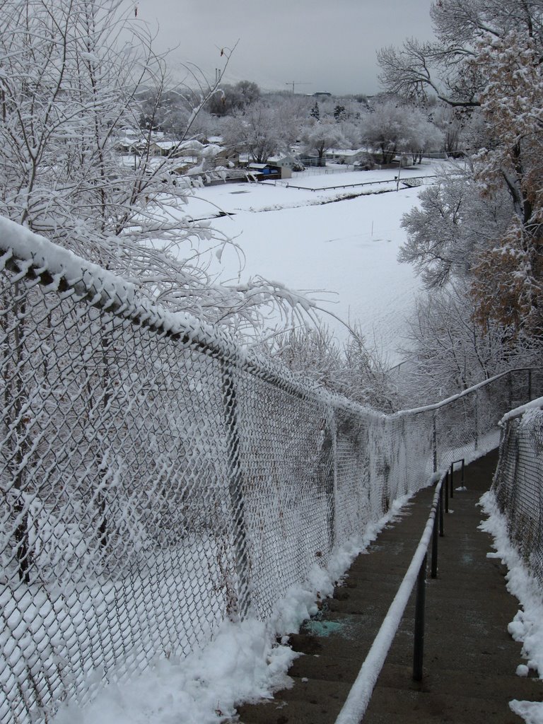 A Peek Into The Park From The Path