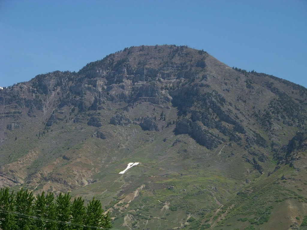 "Y" Mountain
