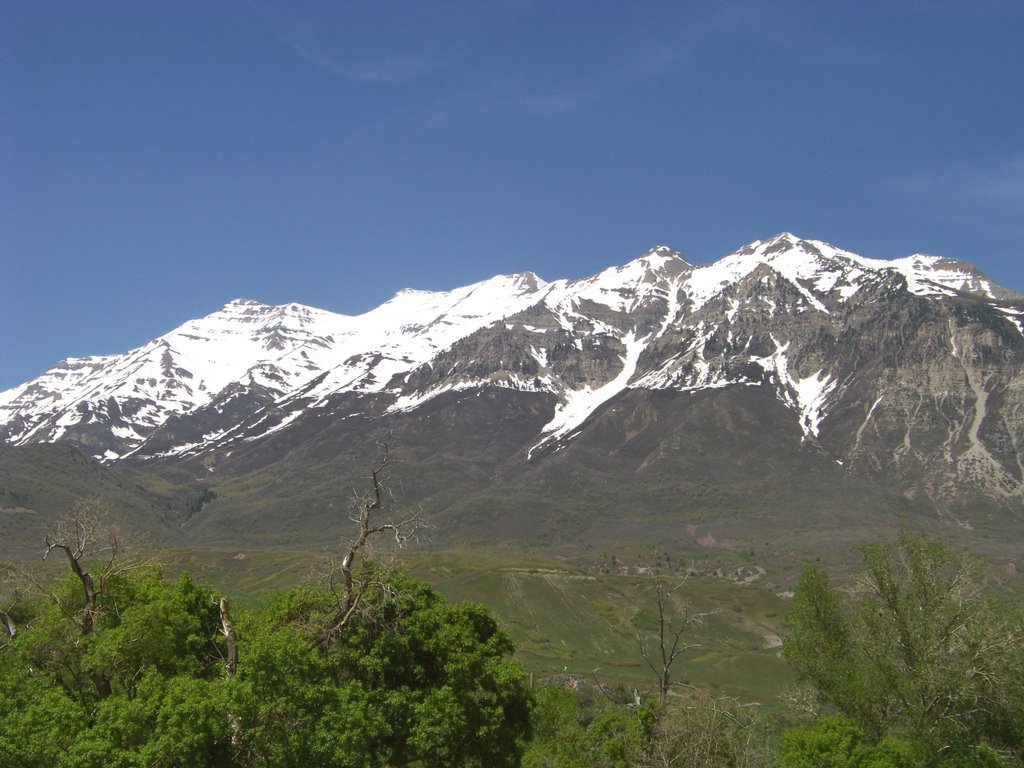 Wasatch Range at Provo, Utah