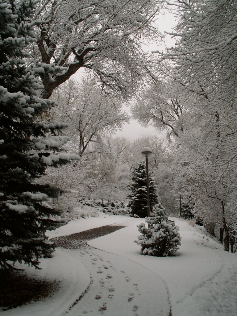 BYU Campus