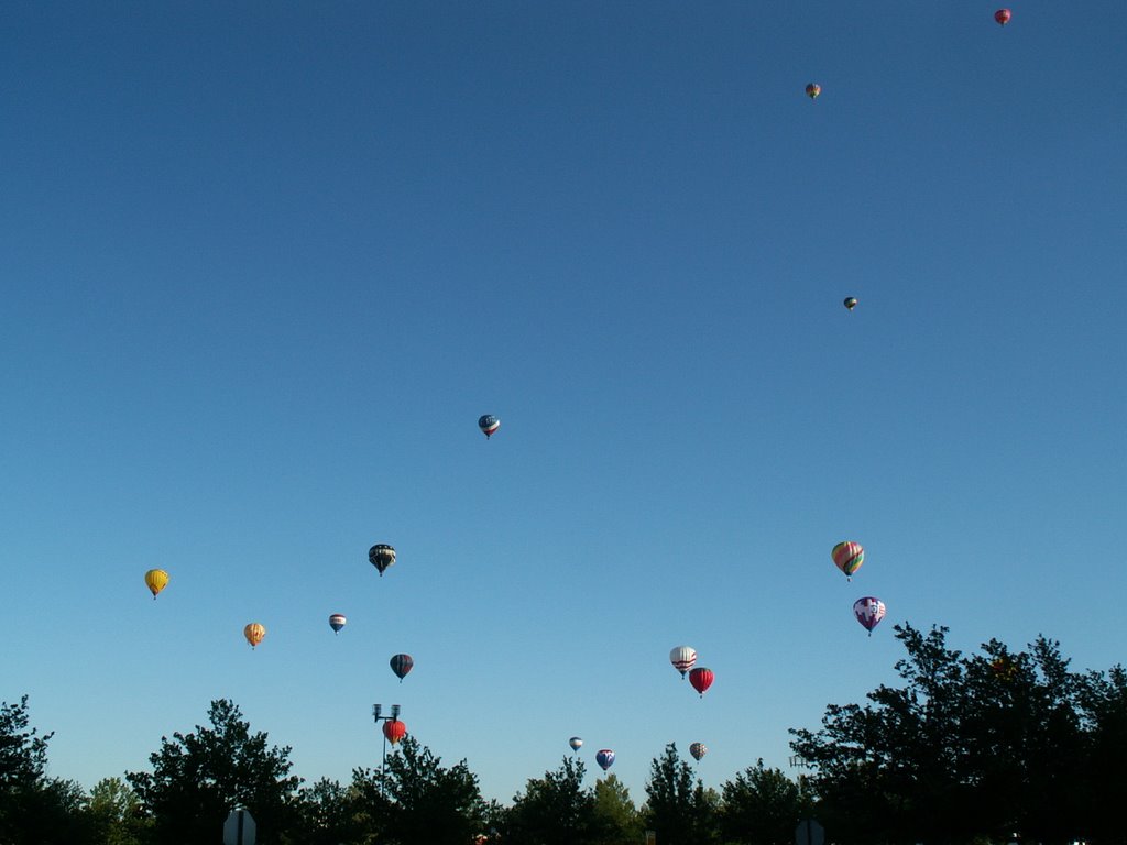 A Sky Full of Hot Air Balloons