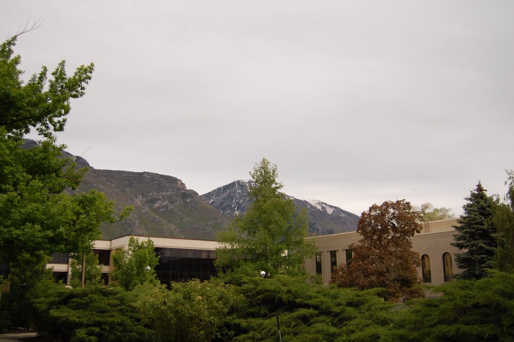 BYU By Chris Yoder