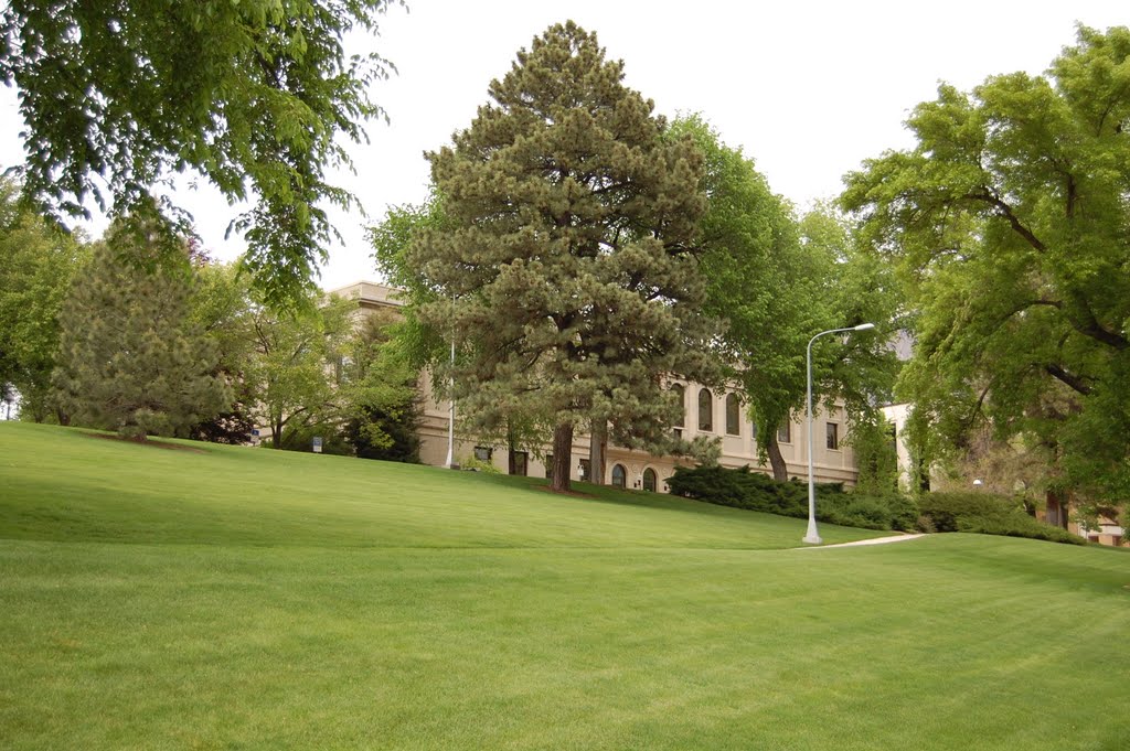 Grounds of BYU By Chris Yoder