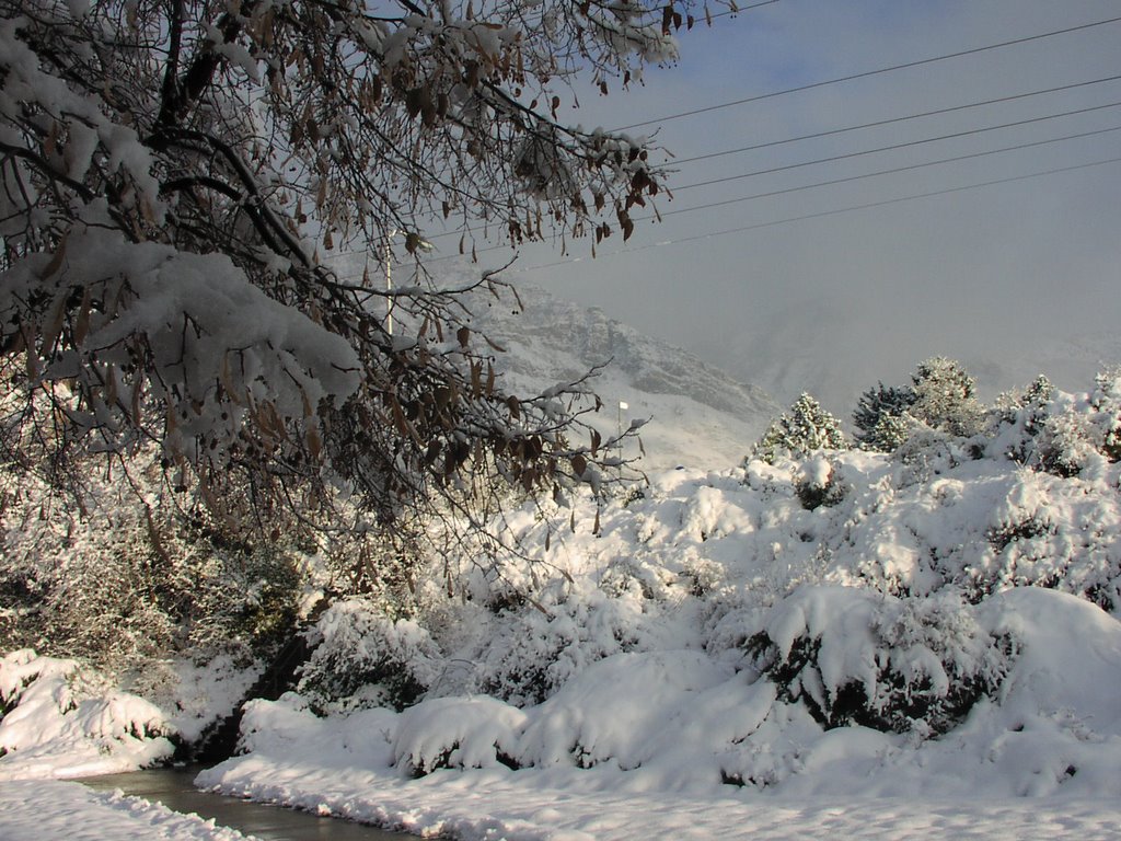 Provo Snow Storm