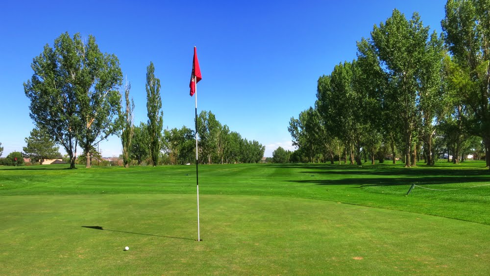 Roosevelt #5 Fairway to Heaven