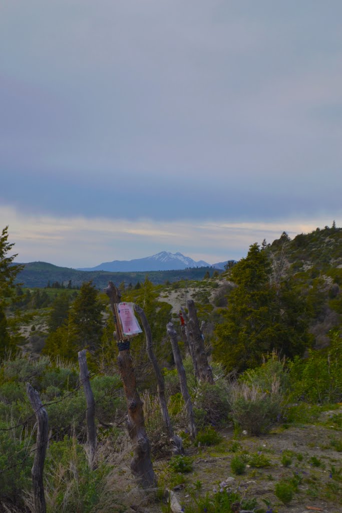 View of Mt. Nebo from San Pitch Skyline