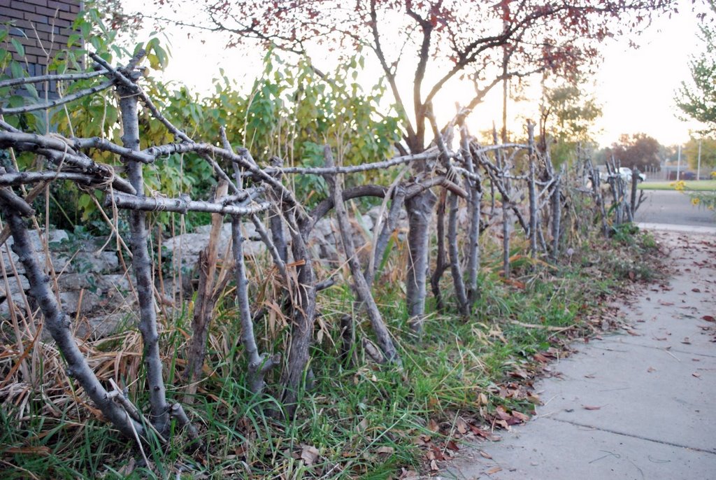 An interesting little fence.