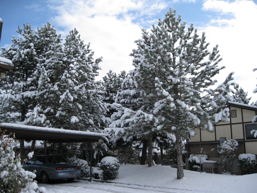 nibley view(dec 08)slc ut usa