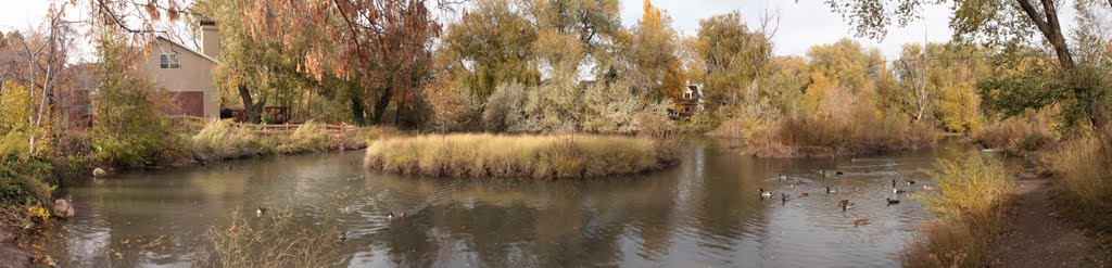 Panorama Duck Pond