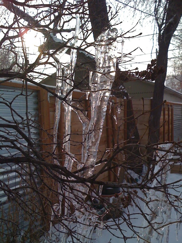 Ice
