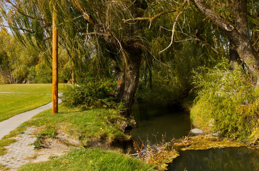 Fitts Park Stream
