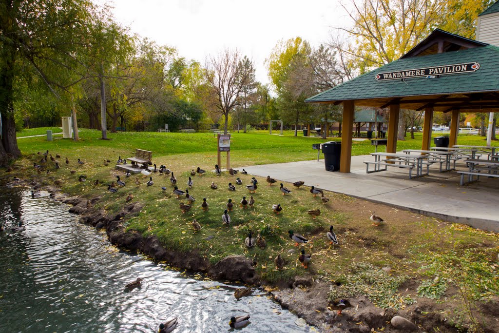 Stream at Fitts Park South Salt Lake City