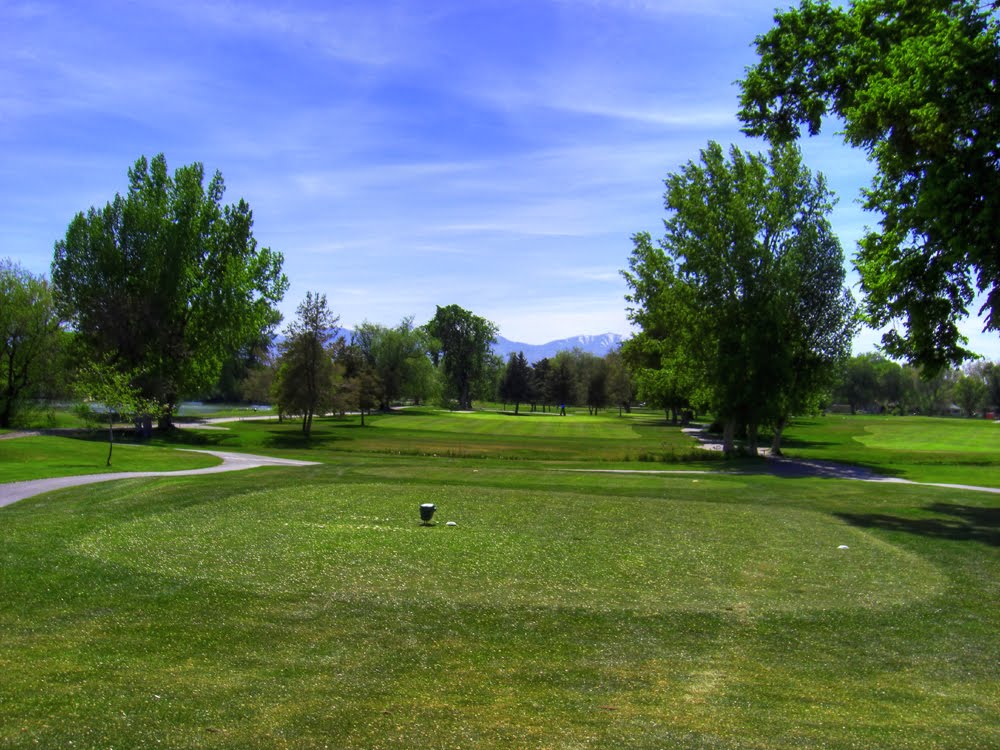 Nibley Park #8