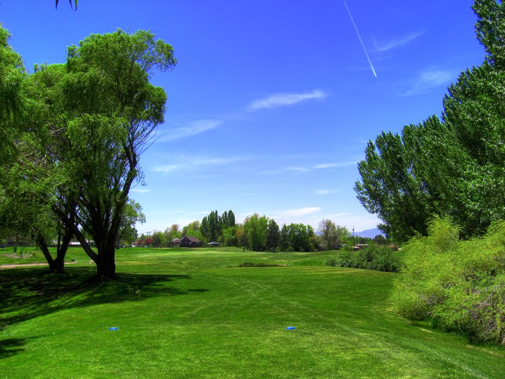 Nibley Park #3