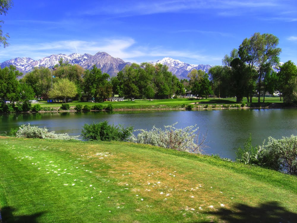 Nibley Park #9
