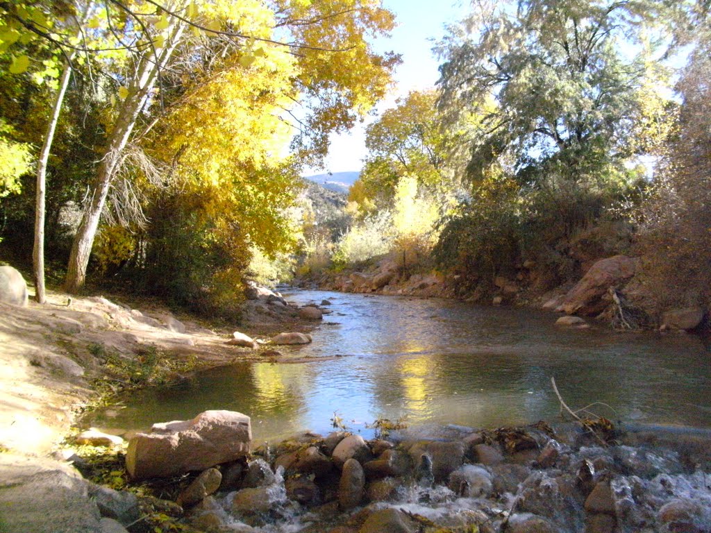 Park in Cedar City
