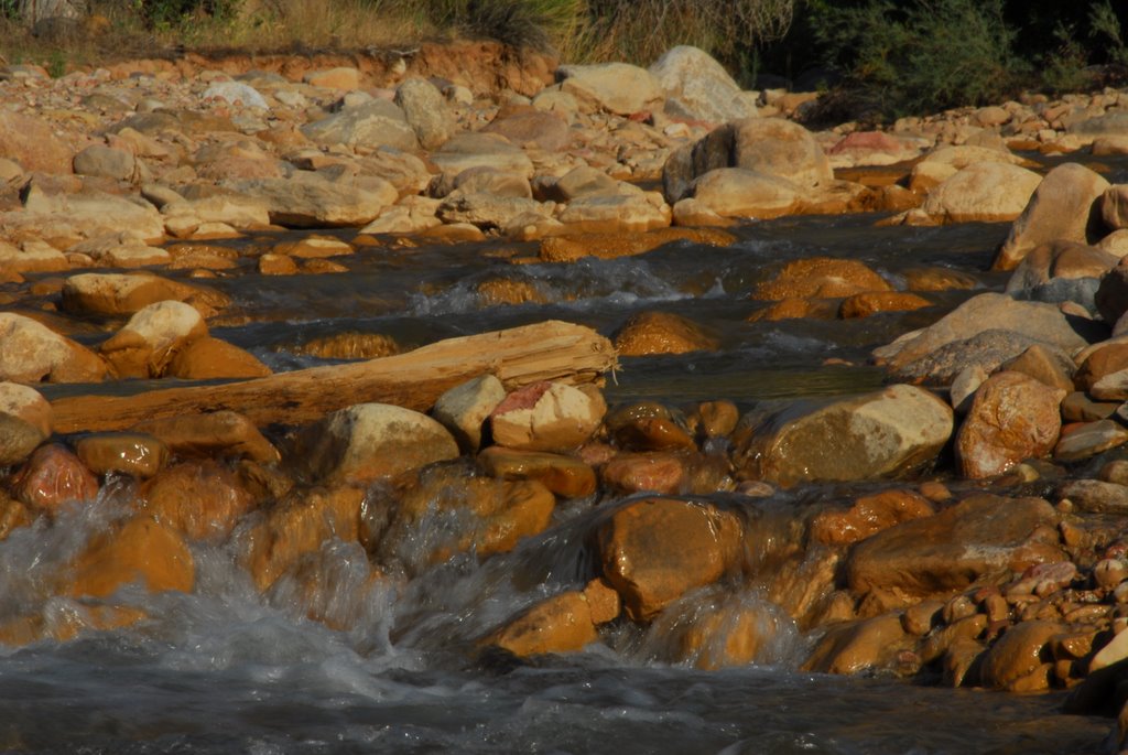 Creek along Cedar Canyon Rd