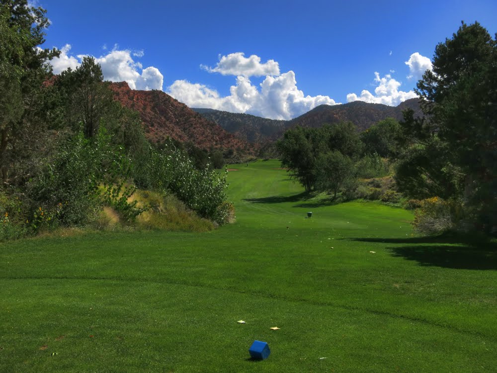 Cedar Ridge #10