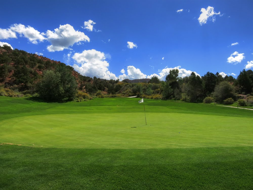 Cedar Ridge #11